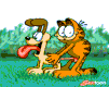 garfield